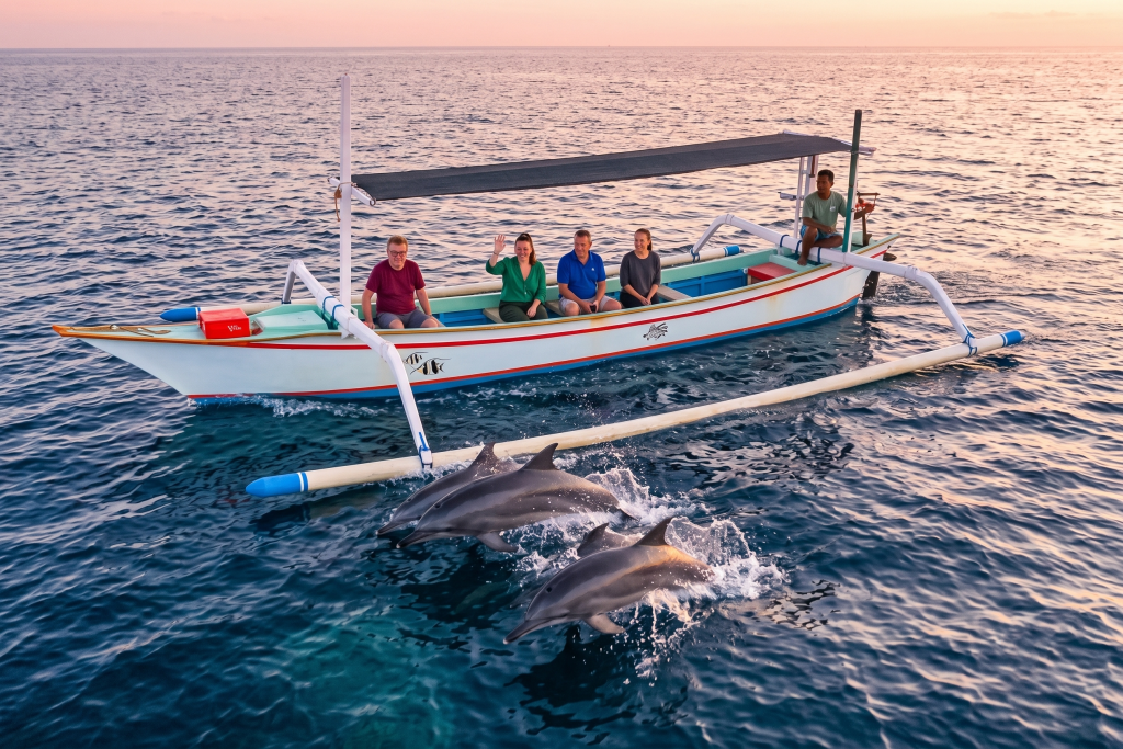 Lovina dolphin watching Bali