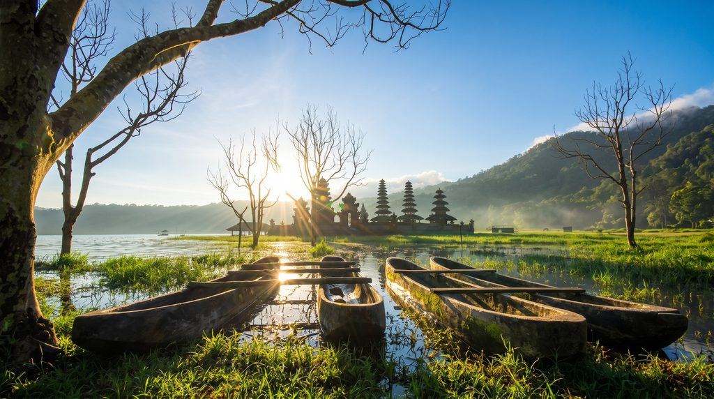 Hidden forests in Bali